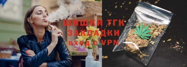 прущие грибы Алзамай