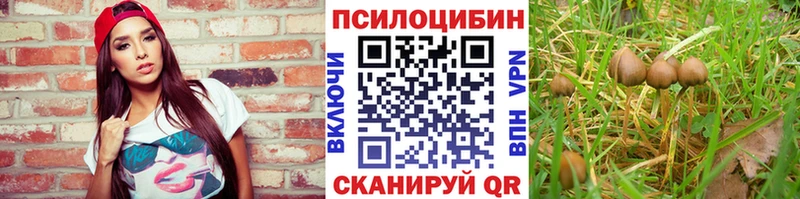 купить  цена  Тавда  Псилоцибиновые грибы прущие грибы 