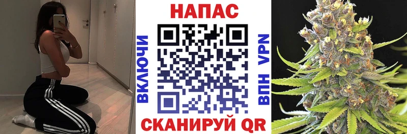 купить   Тавда  Канабис AK-47 